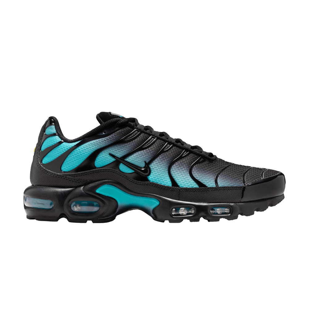 Nike Air Max Plus Black Dusty Cactus