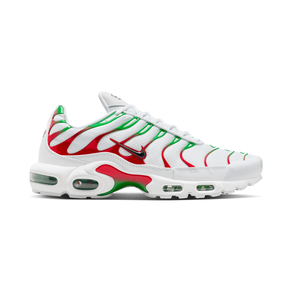 Nike Air Max Plus Italy